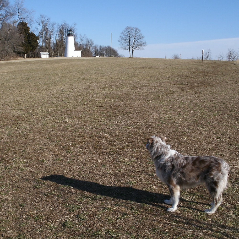 Meet your Posher, Nina